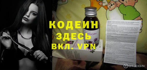 молекула духа Верхний Тагил
