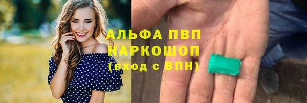 молекула духа Верхний Тагил