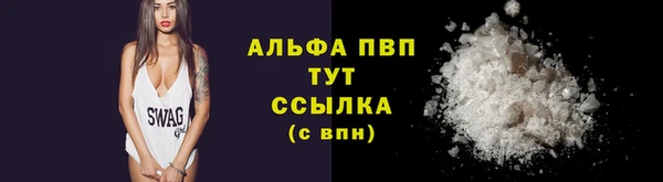 молекула духа Верхний Тагил