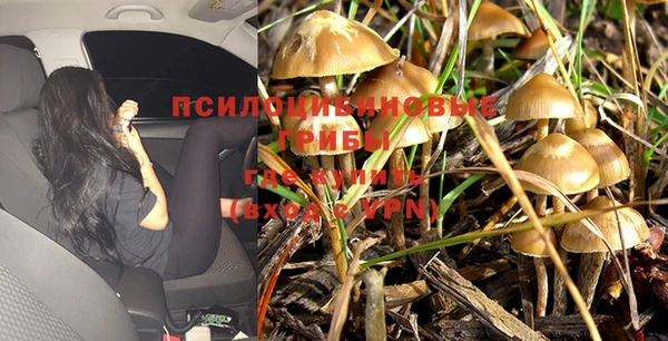 молекула духа Верхний Тагил